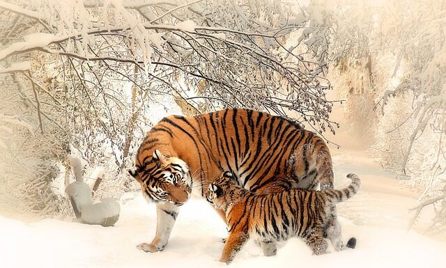 Co daje matka chrzestna na chrzciny? Co daje matka chrzestna na chrzciny?