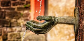 Jakie funkcje ma Baby Born?