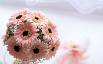 Ile daje się na chrzciny jako gość? Ile daje się na chrzciny jako gość?